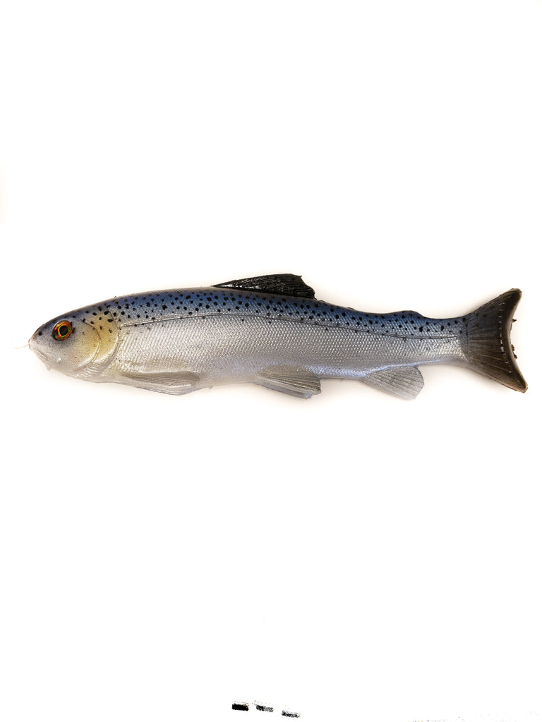 20191229_124502_1024x1024.jpg?