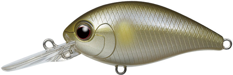 best poles for shad fishing Best Fishing Rod Holders for Bank Fishing