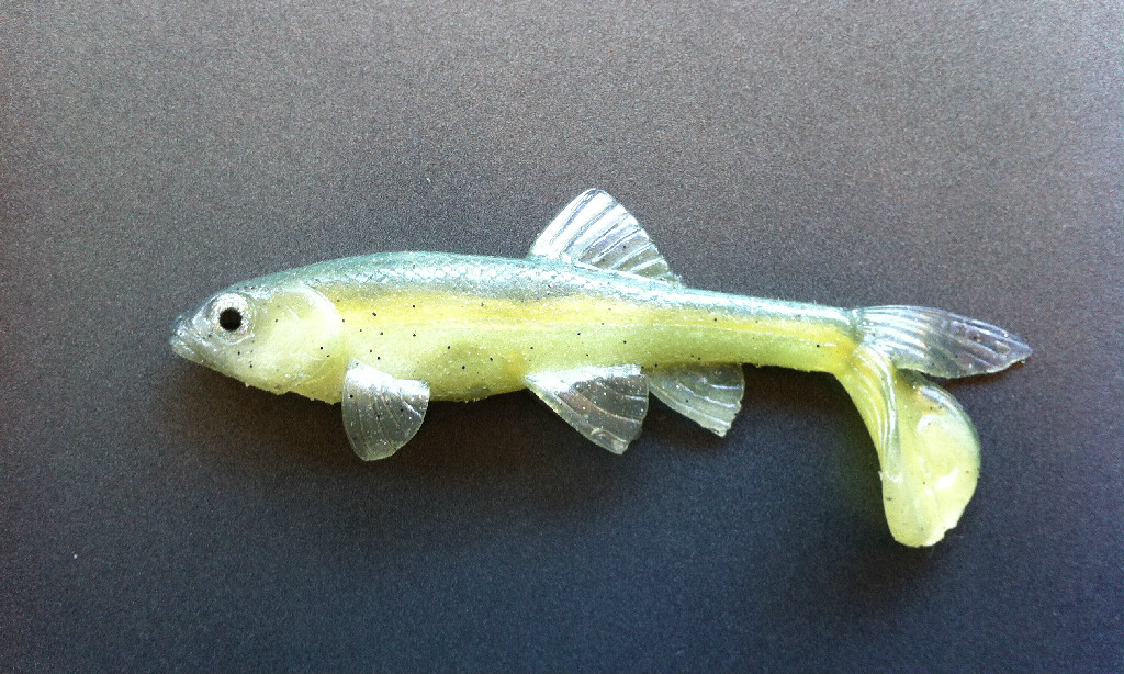 Little Creeper All American Trash Fish 4