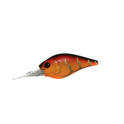 WILD_LAVA_CRAW_-