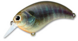 Deps Evoke 3.0
