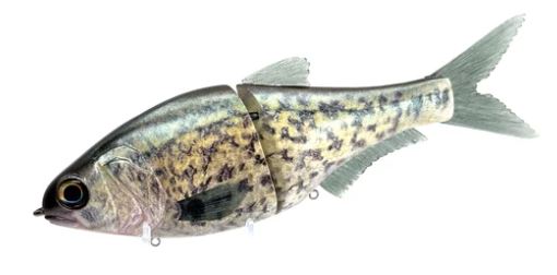 86baits アンドロメダ 86 Baits Andromeda – Coyote Bait & Tackle