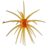Queen Tackle Beast 25mm Porcupine Ball