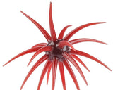 Berkley MaxScent Moeba