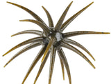Berkley MaxScent Moeba