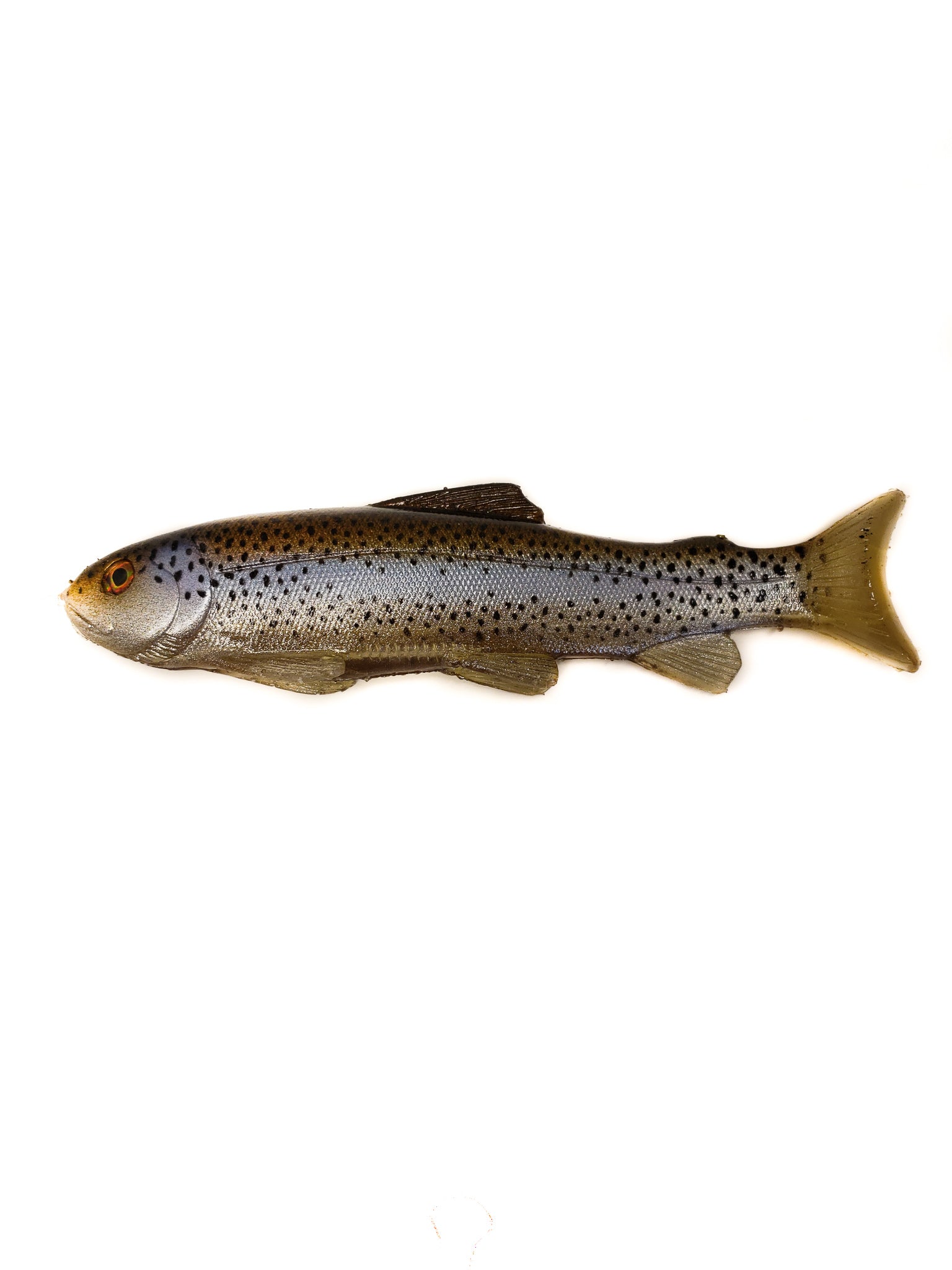 Nates Bait Line Through/Weedless Trout – Coyote Bait & Tackle