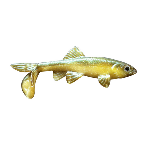 Little Creeper All American Trash Fish 6 Little Creeper All American Trash Fish 6