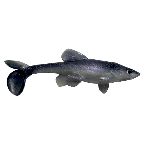 Little Creeper All American Trash Fish 8 Little Creeper All American Trash Fish 8