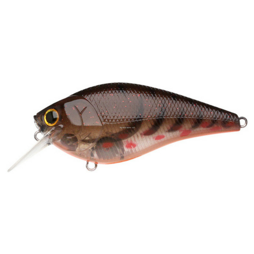 https://www.coyotebait.com/cdn/shop/products/LUCKY_CRAFT_BDS_3_-_MAGIC_CRAW_580x.png?v=1516518159