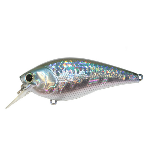 LUCKY CRAFT RC 3.5 XD FAT CB 5個セット BDS LUCKY CRAFT RC 3.5 XD