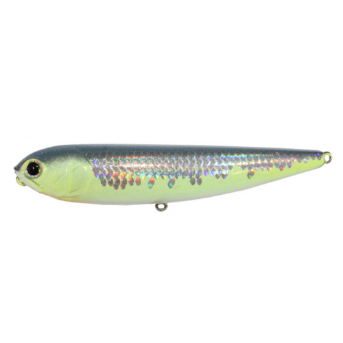 Lucky Craft Sammy – Coyote Bait & Tackle