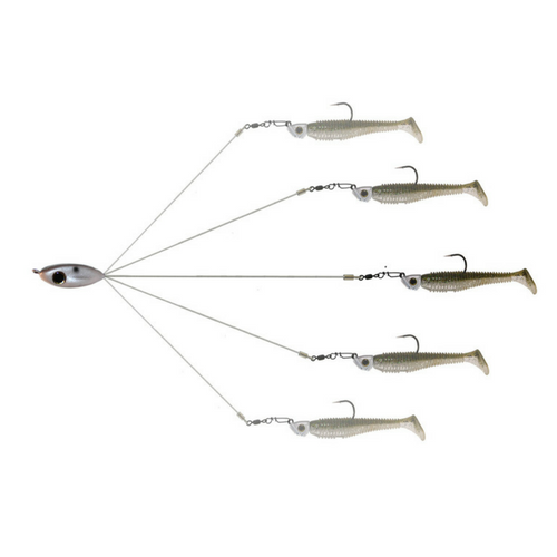 Picasso School E Rig Original