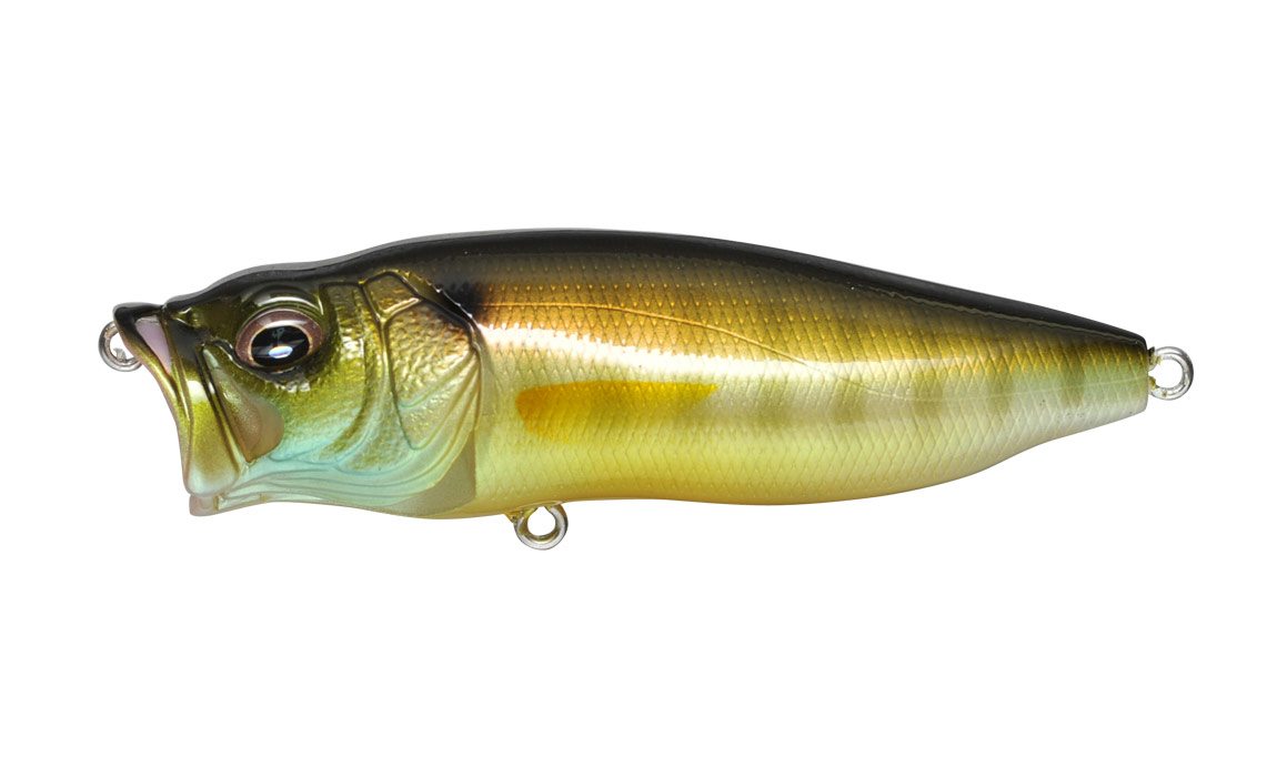 Megabass Pop Max Poppers – Coyote Bait & Tackle
