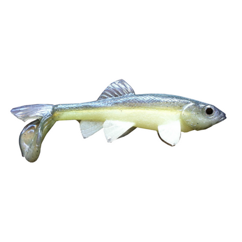 Little Creeper All American Trash Fish 6