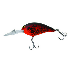 Norman Lures Deep Diver 22 Crankbaits – Coyote Bait & Tackle Norman Lures Deep Diver 22 Crankbaits – Coyote Bait & Tackle